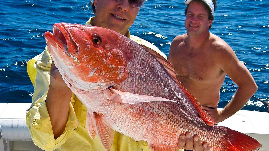 An angler on an offshore boat holding up a red snapper, the Gulf reef fish most often released with a venting tool or descending device.